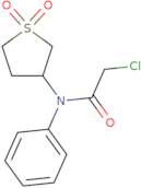 2-Chloro-N-(1,1-dioxo-1λ6-thiolan-3-yl)-N-phenylacetamide