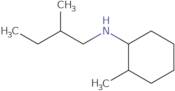 2-Methyl-N-(2-methylbutyl)cyclohexan-1-amine