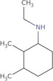 N-Ethyl-2,3-dimethylcyclohexan-1-amine