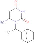 6-Amino-1-(1-{bicyclo[2.2.1]heptan-2-yl}ethyl)-1,2,3,4-tetrahydropyrimidine-2,4-dione