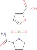 5-{[2-(Aminocarbonyl)pyrrolidin-1-yl]sulfonyl}-2-furoic acid