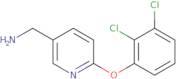 [6-(2,3-Dichlorophenoxy)pyridin-3-yl]methanamine