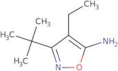 3-tert-Butyl-4-ethyl-1,2-oxazol-5-amine