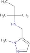 [(1-Methyl-1H-pyrazol-5-yl)methyl](2-methylbutan-2-yl)amine