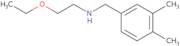 [(3,4-Dimethylphenyl)methyl](2-ethoxyethyl)amine