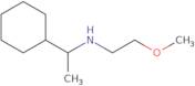 (1-Cyclohexylethyl)(2-methoxyethyl)amine