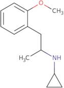 N-[1-(2-Methoxyphenyl)propan-2-yl]cyclopropanamine