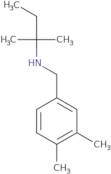 N-[(3,4-Dimethylphenyl)methyl]-2-methylbutan-2-amine