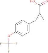 2-[4-(Trifluoromethoxy)phenyl]cyclopropane-1-carboxylic acid