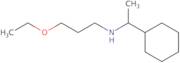 (1-Cyclohexylethyl)(3-ethoxypropyl)amine