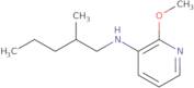 2-Methoxy-N-(2-methylpentyl)pyridin-3-amine