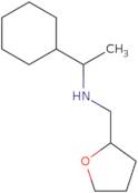 1-Cyclohexyl-N-(oxolan-2-ylmethyl)ethanamine