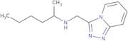 N-([1,2,4]Triazolo[4,3-a]pyridin-3-ylmethyl)hexan-2-amine