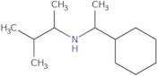 (1-Cyclohexylethyl)(3-methylbutan-2-yl)amine