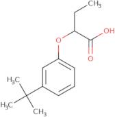 2-(3-tert-Butylphenoxy)butanoic acid