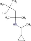 N-(1-Cyclopropylethyl)-2,4,4-trimethylpentan-2-amine