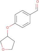 4-(Oxolan-3-yloxy)benzaldehyde