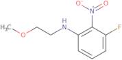 3-Fluoro-N-(2-methoxyethyl)-2-nitroaniline