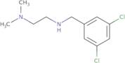 N-[(3,5-Dichlorophenyl)methyl]-N',N'-dimethylethane-1,2-diamine