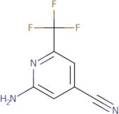 2-Amino-6-(trifluoromethyl)isonicotinonitrile