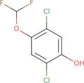 2,5-Dichloro-4-(difluoromethoxy)phenol