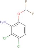 2,3-Dichloro-6-(difluoromethoxy)aniline