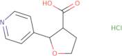 2-Pyridin-4-yloxolane-3-carboxylic acid hydrochloride