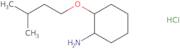 rac-(1R,2R)-2-(3-Methylbutoxy)cyclohexan-1-amine hydrochloride