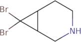 rac-(1R,6R)-7,7-Dibromo-3-azabicyclo[4.1.0]heptane