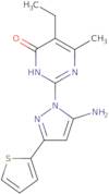 2-[5-Amino-3-(2-thienyl)-1H-pyrazol-1-yl]-5-ethyl-6-methylpyrimidin-4(3H)-one