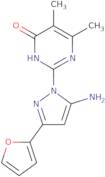 2-[5-Amino-3-(2-furyl)-1H-pyrazol-1-yl]-5,6-dimethylpyrimidin-4(3H)-one