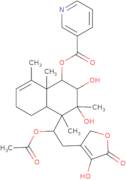 Scutebata C