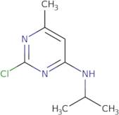 (2-Chloro-6-methyl-pyrimidin-4-yl)-isopropyl-amine