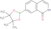 1-Hydroxyisoquinoline-7-boronic acid pinacol ester