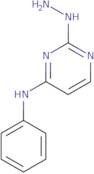 2-Hydrazinyl-N-phenylpyrimidin-4-amine