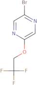 2-Bromo-5-(2,2,2-trifluoroethoxy)pyrazine