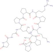 Bradykinin-Potentiator B