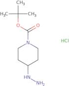 tert-Butyl-4-hydrazinylpiperidine-1-carboxylate hydrochloride