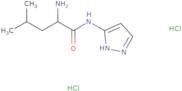 2-Amino-4-methyl-N-(1H-pyrazol-3-yl)pentanamide dihydrochloride