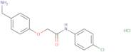 2-[4-(Aminomethyl)phenoxy]-N-(4-chlorophenyl)acetamide hydrochloride