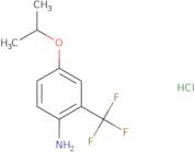 4-(Propan-2-yloxy)-2-(trifluoromethyl)aniline hydrochloride