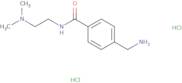 4-(Aminomethyl)-N-[2-(dimethylamino)ethyl]benzamide dihydrochloride