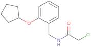 2-Chloro-N-{[2-(cyclopentyloxy)phenyl]methyl}acetamide