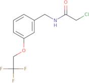 2-Chloro-N-{[3-(2,2,2-trifluoroethoxy)phenyl]methyl}acetamide