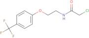 2-Chloro-N-{2-[4-(trifluoromethyl)phenoxy]ethyl}acetamide