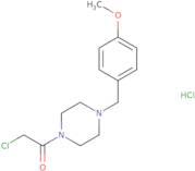 2-Chloro-1-{4-[(4-methoxyphenyl)methyl]piperazin-1-yl}ethan-1-one hydrochloride