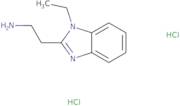 2-(1-Ethyl-1H-1,3-benzodiazol-2-yl)ethan-1-amine dihydrochloride