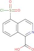 5-(Chlorosulfonyl)isoquinoline-1-carboxylic acid