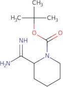 Tert-Butyl 2-Carbamimidoylpiperidine-1-Carboxylate