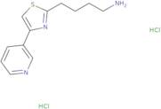 4-[4-(Pyridin-3-yl)-1,3-thiazol-2-yl]butan-1-amine dihydrochloride